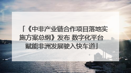 《中非产业链合作项目落地实施方案总纲》发布 数字化平台赋能非洲发展驶入快车道