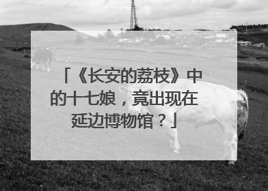 《长安的荔枝》中的十七娘，竟出现在延边博物馆？