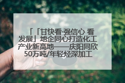 「甘快看·强信心 看发展」地企同心打造化工产业新高地——庆阳同欣50万吨/年轻烃深加工项目建设见闻