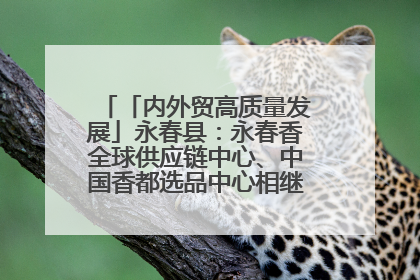 「内外贸高质量发展」永春县：永春香全球供应链中心、中国香都选品中心相继运营——一根香“点燃”百亿产业