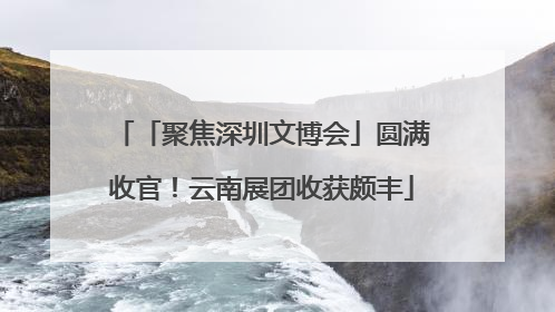「聚焦深圳文博会」圆满收官！云南展团收获颇丰