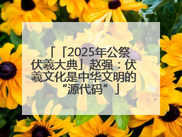 「2025年公祭伏羲大典」赵强：伏羲文化是中华文明的“源代码”