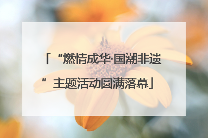 “燃情成华·国潮非遗”主题活动圆满落幕