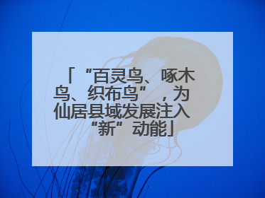 “百灵鸟、啄木鸟、织布鸟”，为仙居县域发展注入“新”动能