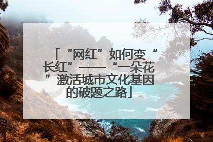 “网红”如何变“长红”——“一朵花”激活城市文化基因的破题之路