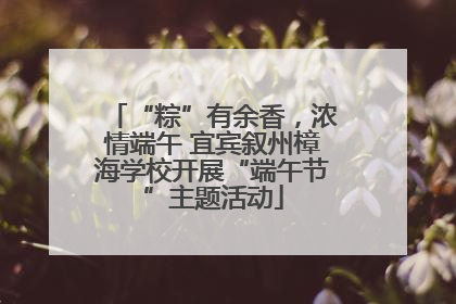 “粽”有余香，浓情端午 宜宾叙州樟海学校开展“端午节”主题活动