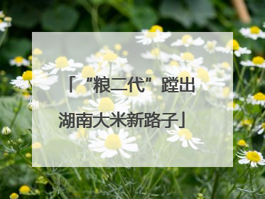 “粮二代”蹚出湖南大米新路子