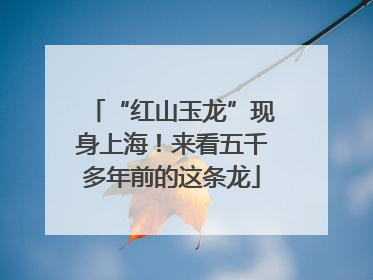 “红山玉龙”现身上海！来看五千多年前的这条龙