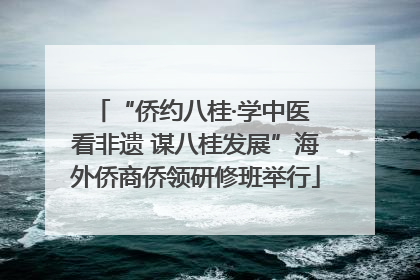 “侨约八桂·学中医 看非遗 谋八桂发展”海外侨商侨领研修班举行