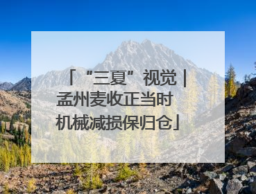 “三夏”视觉｜孟州麦收正当时 机械减损保归仓