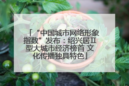 “中国城市网络形象指数”发布：绍兴居Ⅱ型大城市经济榜首 文化传播独具特色