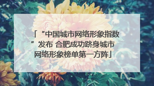 “中国城市网络形象指数”发布 合肥成功跻身城市网络形象榜单第一方阵