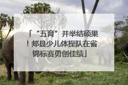 “五育”并举结硕果！郏县少儿体操队在省锦标赛勇创佳绩