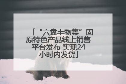 “六盘丰物集”固原特色产品线上销售平台发布 实现24小时内发货