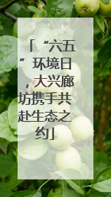 “六五”环境日，大兴廊坊携手共赴生态之约