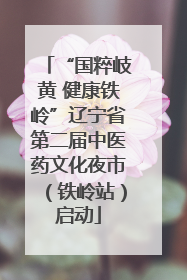 “国粹岐黄 健康铁岭”辽宁省第二届中医药文化夜市（铁岭站）启动