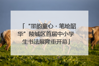 “墨韵童心・笔绘韶华”陵城区首届中小学生书法展隆重开幕