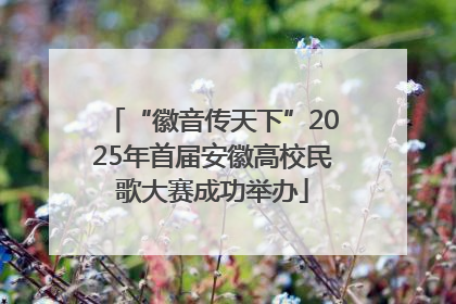 “徽音传天下”2025年首届安徽高校民歌大赛成功举办