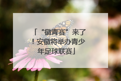 “徽青赛”来了！安徽将举办青少年足球联赛