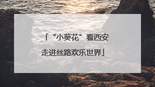 “小葵花”看西安走进丝路欢乐世界