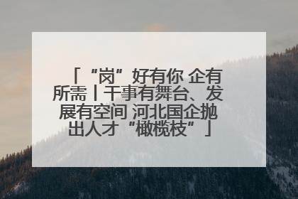 “岗”好有你 企有所需丨干事有舞台、发展有空间 河北国企抛出人才“橄榄枝”