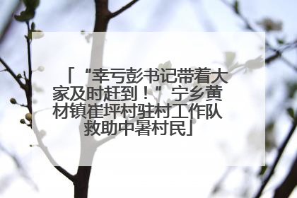 “幸亏彭书记带着大家及时赶到！”宁乡黄材镇崔坪村驻村工作队救助中暑村民