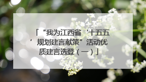 “我为江西省‘十五五’规划建言献策”活动优质建言选登（一）
