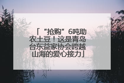 “抢购”6吨助农土豆！这是青岛台东益家协会跨越山海的爱心接力