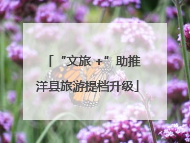 “文旅 +”助推洋县旅游提档升级