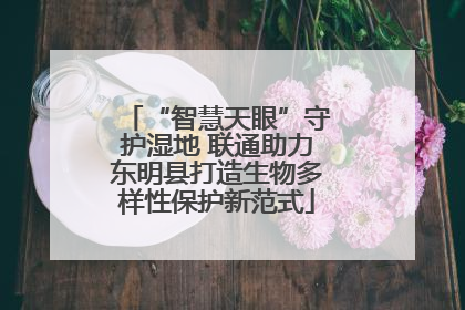 “智慧天眼”守护湿地 联通助力东明县打造生物多样性保护新范式