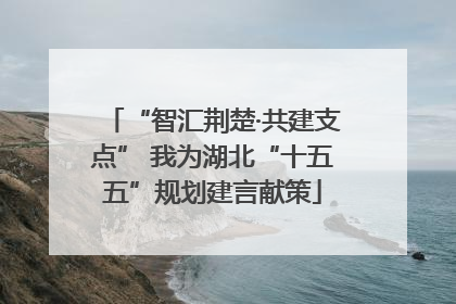 “智汇荆楚·共建支点” 我为湖北“十五五”规划建言献策