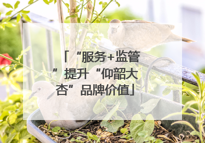 “服务+监管”提升“仰韶大杏”品牌价值