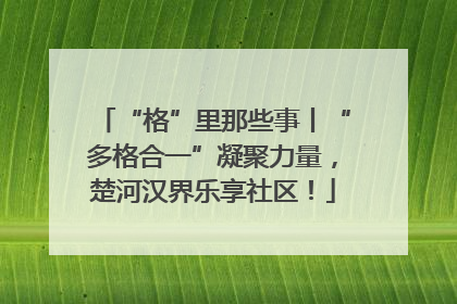 “格”里那些事丨“多格合一”凝聚力量，楚河汉界乐享社区！
