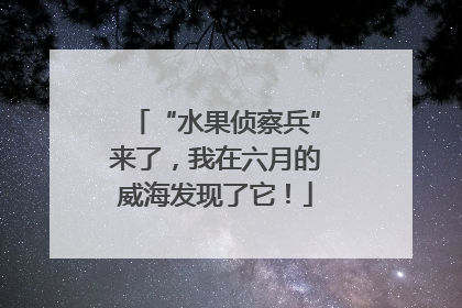 “水果侦察兵”来了，我在六月的威海发现了它！