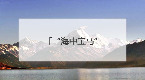 “海中宝马”游进霞浦盐田