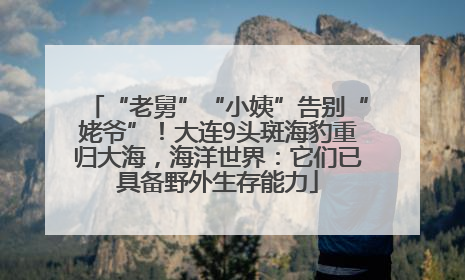 “老舅”“小姨”告别“姥爷”！大连9头斑海豹重归大海，海洋世界：它们已具备野外生存能力