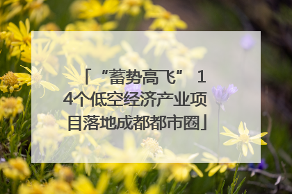 “蓄势高飞” 14个低空经济产业项目落地成都都市圈