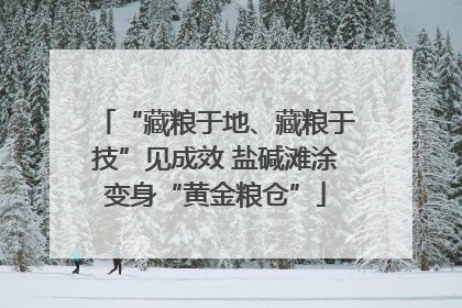 “藏粮于地、藏粮于技”见成效 盐碱滩涂变身“黄金粮仓”