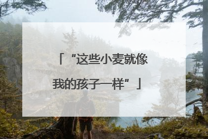 “这些小麦就像我的孩子一样”