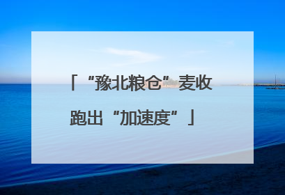 “豫北粮仓”麦收跑出“加速度”