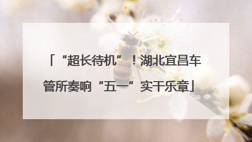“超长待机”！湖北宜昌车管所奏响“五一”实干乐章