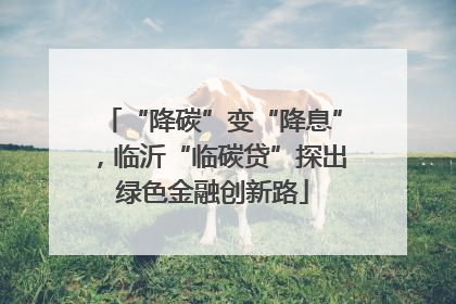 “降碳”变“降息”，临沂“临碳贷”探出绿色金融创新路