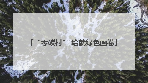 “零碳村” 绘就绿色画卷