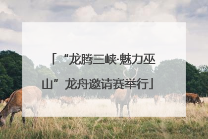 “龙腾三峡·魅力巫山”龙舟邀请赛举行