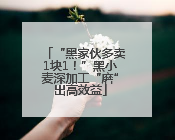 “黑家伙多卖1块1！”黑小麦深加工“磨”出高效益