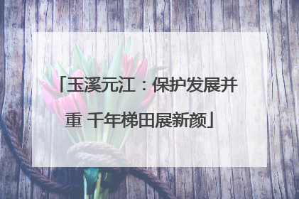 玉溪元江：保护发展并重 千年梯田展新颜