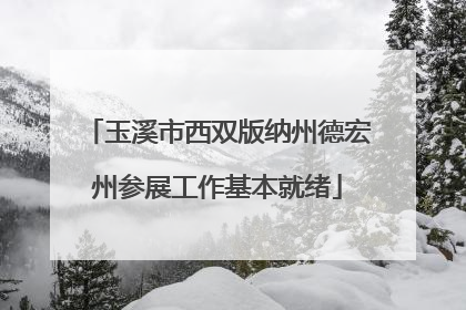 玉溪市西双版纳州德宏州参展工作基本就绪