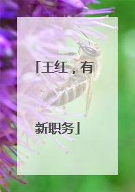 王红，有新职务