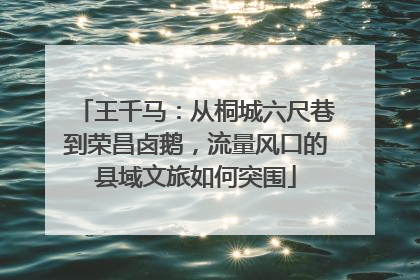 王千马：从桐城六尺巷到荣昌卤鹅，流量风口的县域文旅如何突围