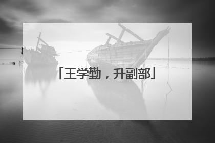 王学勤，升副部